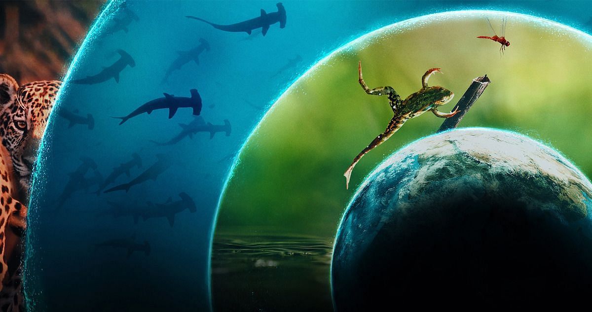Our Living World (Image via Netflix)